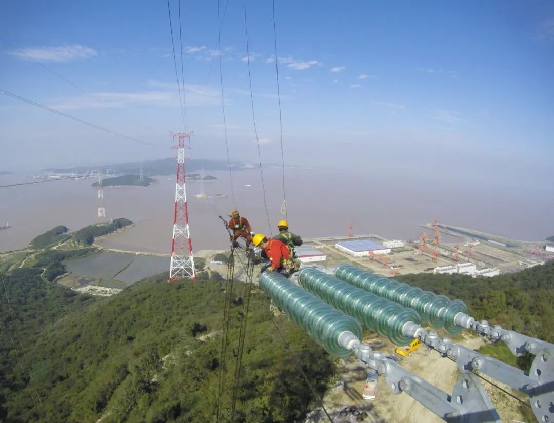 1612427539783837.jpg 1.jpg