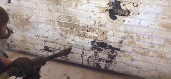 1632445548441500.png image.png